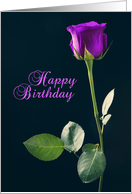 Happy Birthday Purple Rose card
