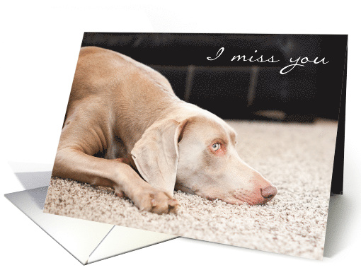 I Miss You Sad Dog card (1526580)
