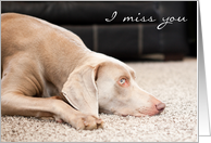 I Miss You Sad Dog card