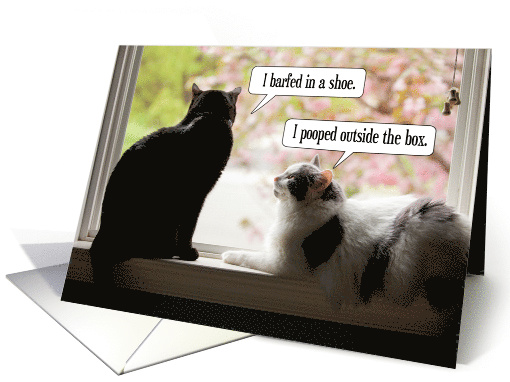 Happy Birthday Funny Cat Conversation card (1526608)