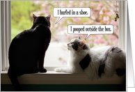 Happy Birthday Funny Cat Conversation card