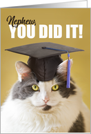 You DId it Nephew Graduation Cute Cat in a Grad Cap card