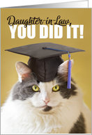 You DId it Daughter-in-Law Graduation Cute Cat in a Grad Cap card