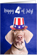 Happy 4th of July Weimararner Puppy in Patriotic Hat card