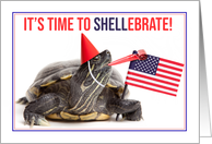 Happy 4th of July It’s Time to Shellebrate Turtle Humor card