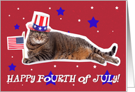 Happy 4th of July Patriotic Cat Humor card