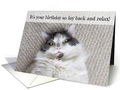 Happy Birthday Lay Back and Relax Cat Humor card (1528438)