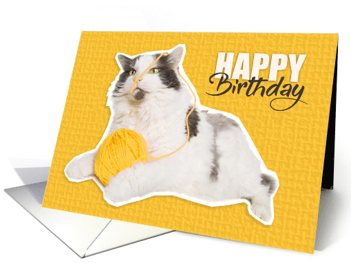 Happy Birthday Cat With Ball of Yarn Humor card (1529016)