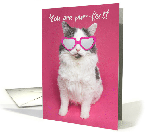 I Love You Kitty in Heart Shaped Glasses card (1529024)
