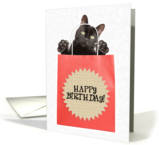 Happy Birthday Cat in a Bag Humor card (1529210)