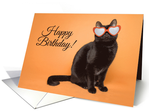 Happy Birthday Favorite Purr-son Cat Humor card (1530362)
