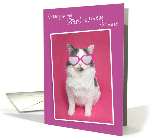 Happy Birthday Sister You are PAW-sitively the Best Cat Humor card