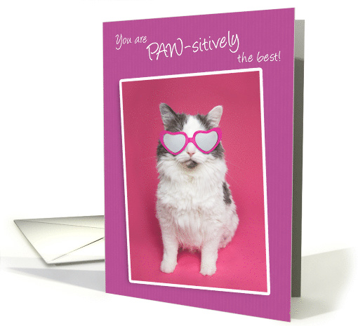 Happy Birthday to Anyone You are PAW-sitively the Best Cat Humor card
