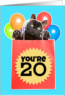 Happy 20th Cat’s Out of the Bag Humor card