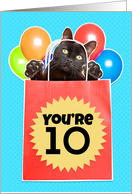 Happy 10th Birthday Cat’s Out of the Bag Humor card