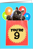 Happy 9th Birthday Cat’s Out of the Bag Humor card