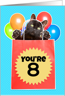 Happy 8th Birthday Cat’s Out of the Bag Humor card