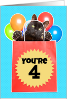 Happy 4th Birthday Cat’s Out of the Bag Humor card