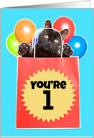 Happy Birthday The Cat’s Out of the Bag You’re 1 Humor card