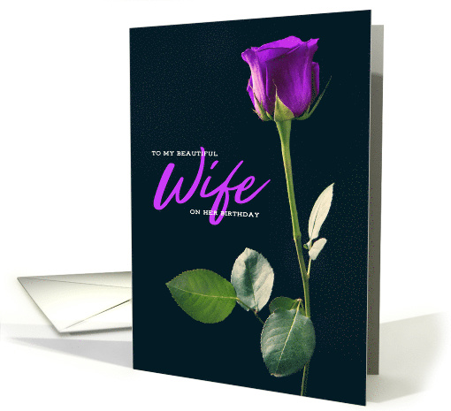 wallpapers Happy Birthday Beautiful Purple Roses greeting card universe