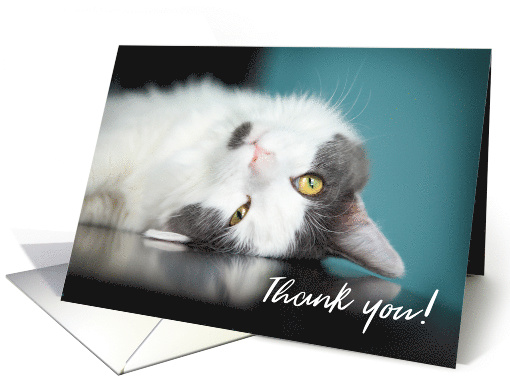 Thank You Adorable Kitty Cat card (1533166)