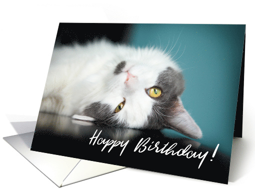 Happy Birthday Adorable Kitty Cat card (1533280)