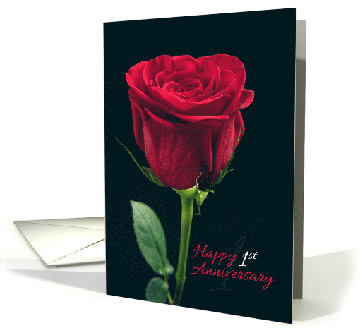 Happy 1st Anniversary Red Rose card (1533640)