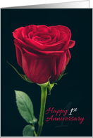 Happy 1st Anniversary Red Rose card