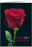 Happy 75th Anniversary Red Rose card