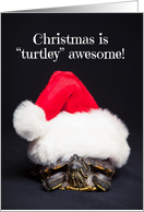 Merry Christmas Turtle in a Santa Hat Humor card