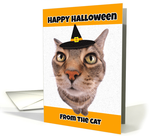 Happy Halloween From the Cat Humor card (1533928)