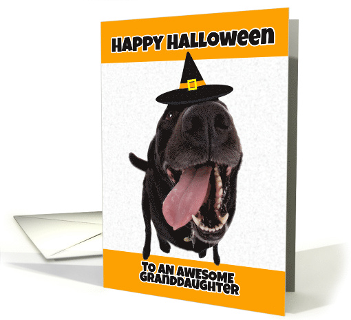 Happy Halloween to an Awesome Granddaughter Cute Dog in... (1534428)