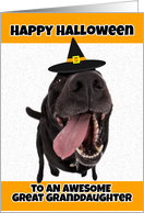 Happy Halloween to an Awesome Great Granddaughter Cute Dog Humor card