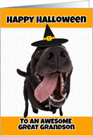 Happy Halloween to an Awesome Great Grandson Cute Dog Humor card