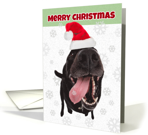 Merry Christmas Funny Dog Catching Snowflakes in Santa Hat Humor card