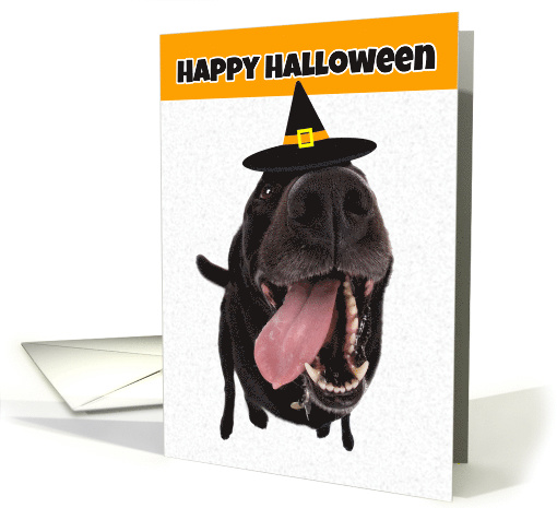 Happy Halloween Cute Dog in Witch Hat Humor card (1534458)