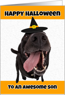 Happy Halloween Son Cute Dog in Witch Hat Humor card