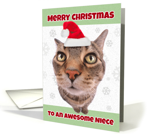 Merry Christmas Niece Funny Cat in Santa Hat Humor card (1534548)