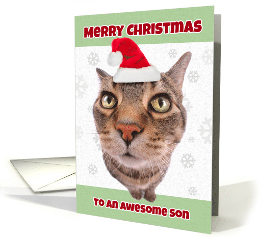 Merry Christmas Son Funny Cat in Santa Hat Humor card (1534550)