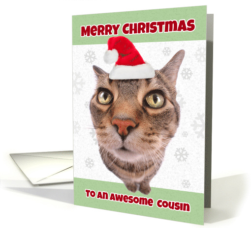 Merry Christmas Cousin Funny Cat in Santa Hat Humor card (1534554)