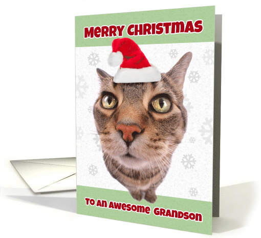 Merry Christmas Grandson Funny Cat in Santa Hat Humor card (1534568)