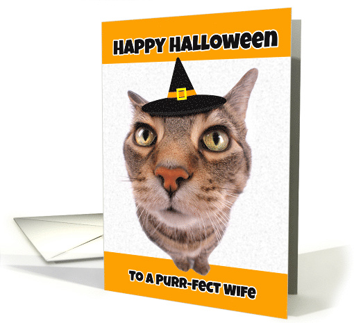 Happy Halloween Wife Funny Cat in Witch Hat Humor card (1535714)