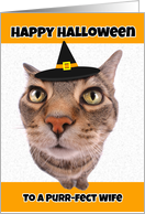 Happy Halloween Wife Funny Cat in Witch Hat Humor card