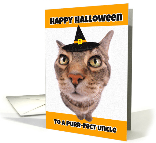 Happy Halloween Uncle Funny Cat in Witch Hat Humor card (1535716)