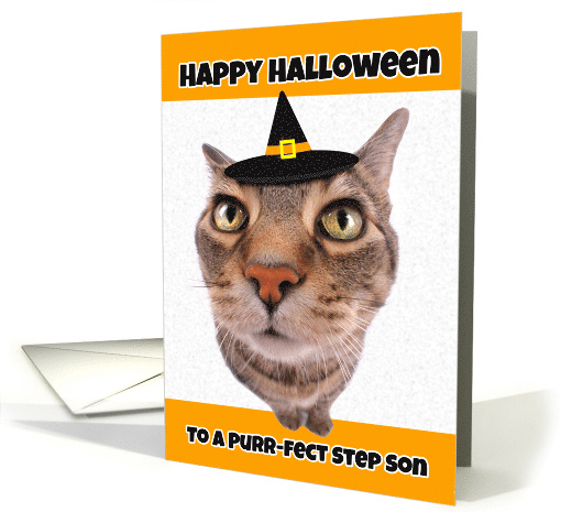 Happy Halloween Step Son Funny Cat in Witch Hat Humor card (1535722)