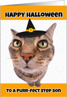 Happy Halloween Step Son Funny Cat in Witch Hat Humor card