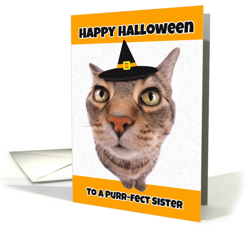 Happy Halloween Sister Funny Cat in Witch Hat Humor card (1535732)