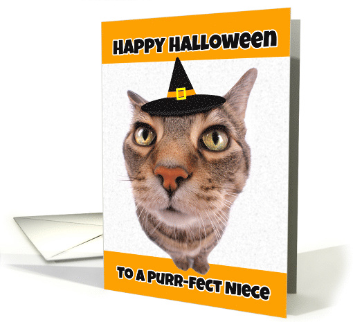 Happy Halloween Niece Funny Cat in Witch Hat Humor card (1535734)