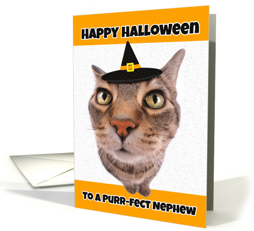 Happy Halloween Nephew Funny Cat in Witch Hat Humor card (1535736)