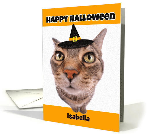 Happy Halloween Customize to Any Name Funny Cat in Witch... (1535766)